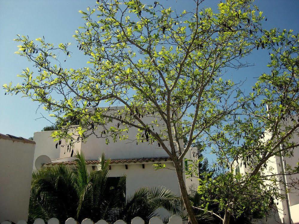 Casa Ceiba Maria Hotel Cala d'Or  Exterior photo